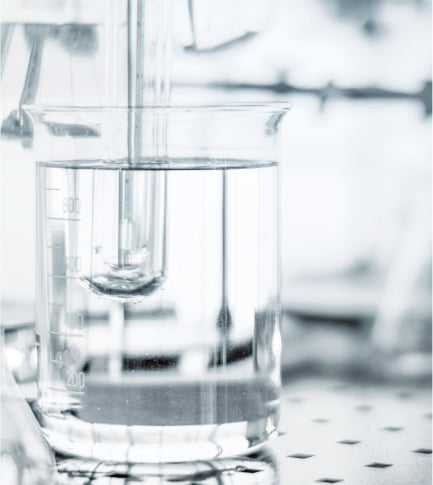 4MSK Complex and Black Tea Extract