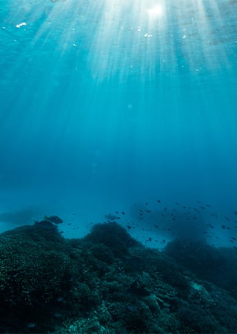 SEA FERMENT BRIGHTENER