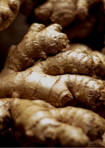 Lempuyang Extract <br>(Indonesian Ginger Extract)