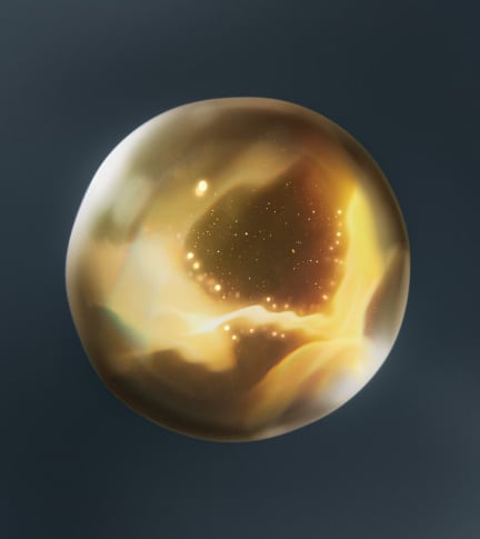 为皮肤赋予力量的焕采成分