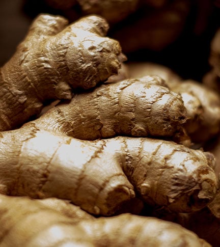 GINGER RHIZOME EXTRACT