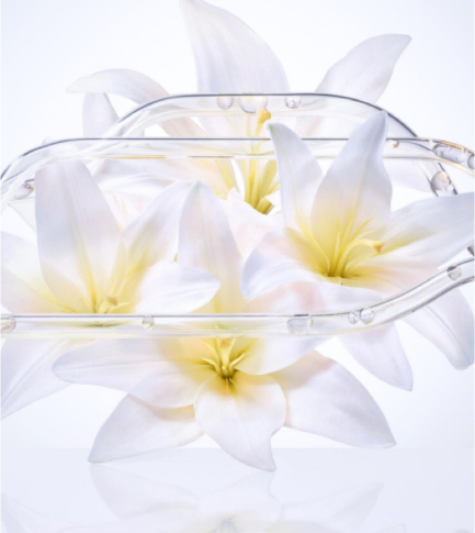 Radiant Lily Extract