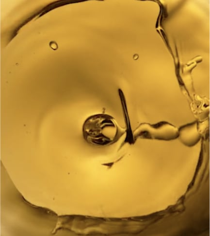 Lasting Control Function