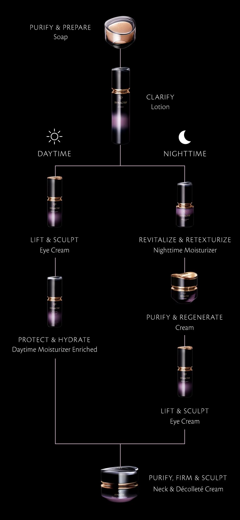 Synactif Regimen