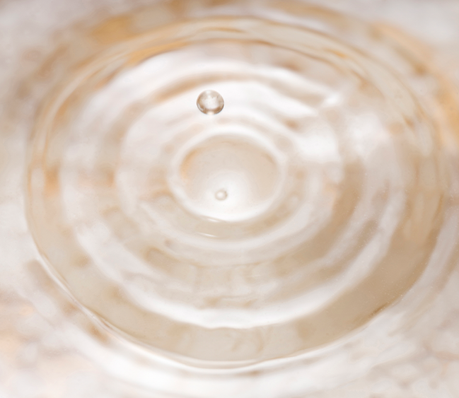 FORTIFIED AMINO FERMENT