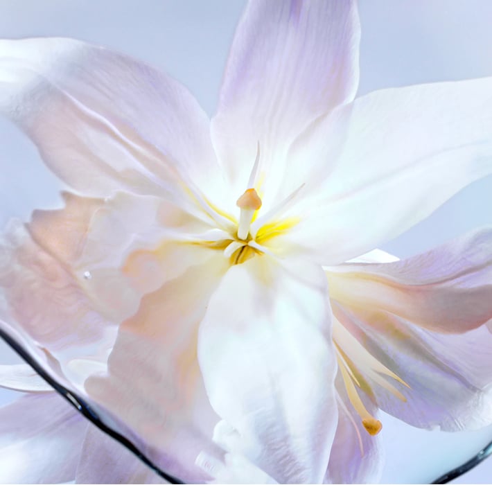 RESPONSIBLY SOURCED INGREDIENTS