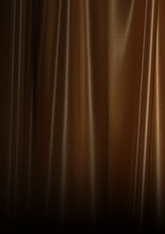 Flyout Cyber Monday Flash 2025