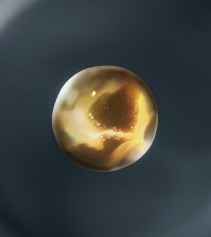 为皮肤赋予力量的焕采成分