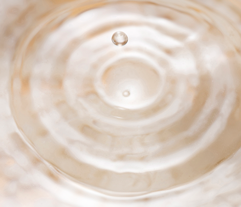 FORTIFIED AMINO FERMENT